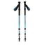 Black Diamond Trail Back Trekking Poles
