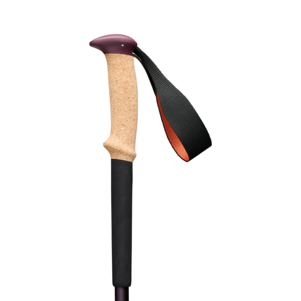 Black Diamond Trail Cork Trekking Poles