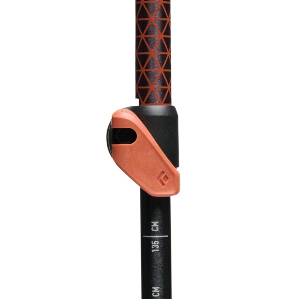 Black Diamond Trail Cork Trekking Poles