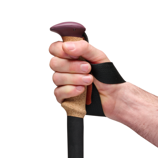 Black Diamond Trail Cork Trekking Poles