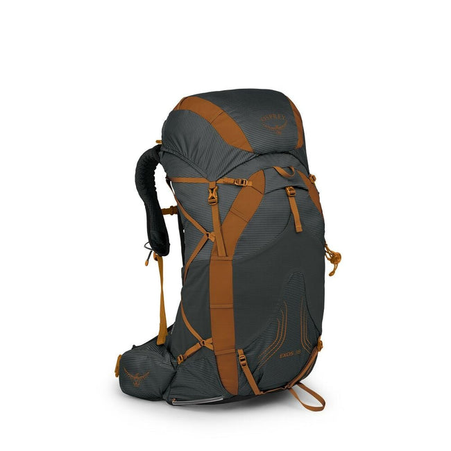 Osprey Exos 38 Hiking Pack Hover Image