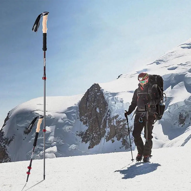 Carbon Fiber Trekking Poles Main Image